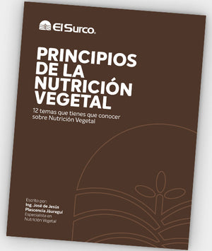 ¡Gratis! Comprando 3 productos