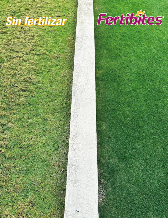 Fertilizante Granulado Fertibites® 14-21-7 Arrancador para Césped