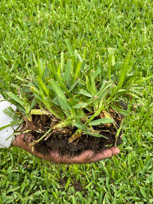 Fertilizante Granulado Fertibites® 14-21-7 Arrancador para Césped