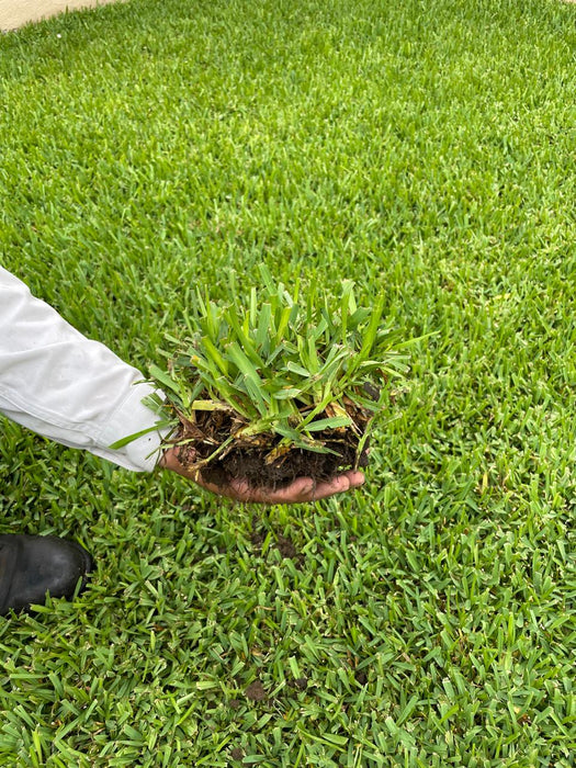 Fertilizante Granulado Fertibites® 14-21-7 Arrancador para Césped