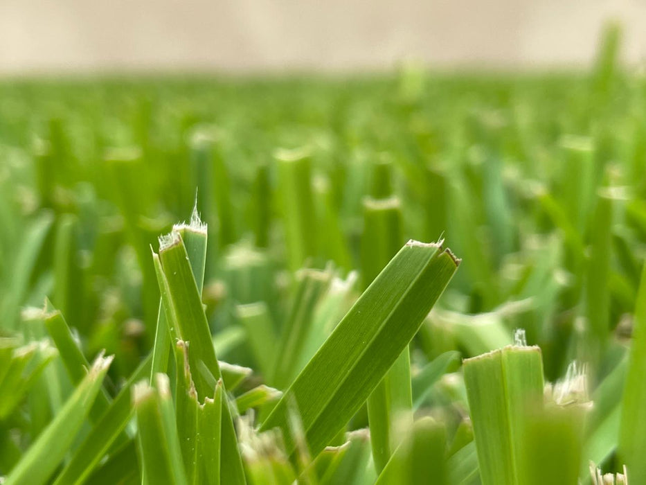 Fertilizante Granulado Fertibites® 14-21-7 Arrancador para Césped