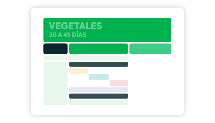 Vegetales (30 a 45 días)